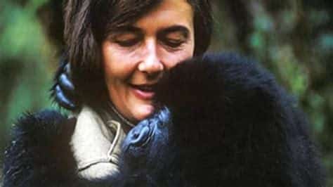 Diane Fossey Kimdir?